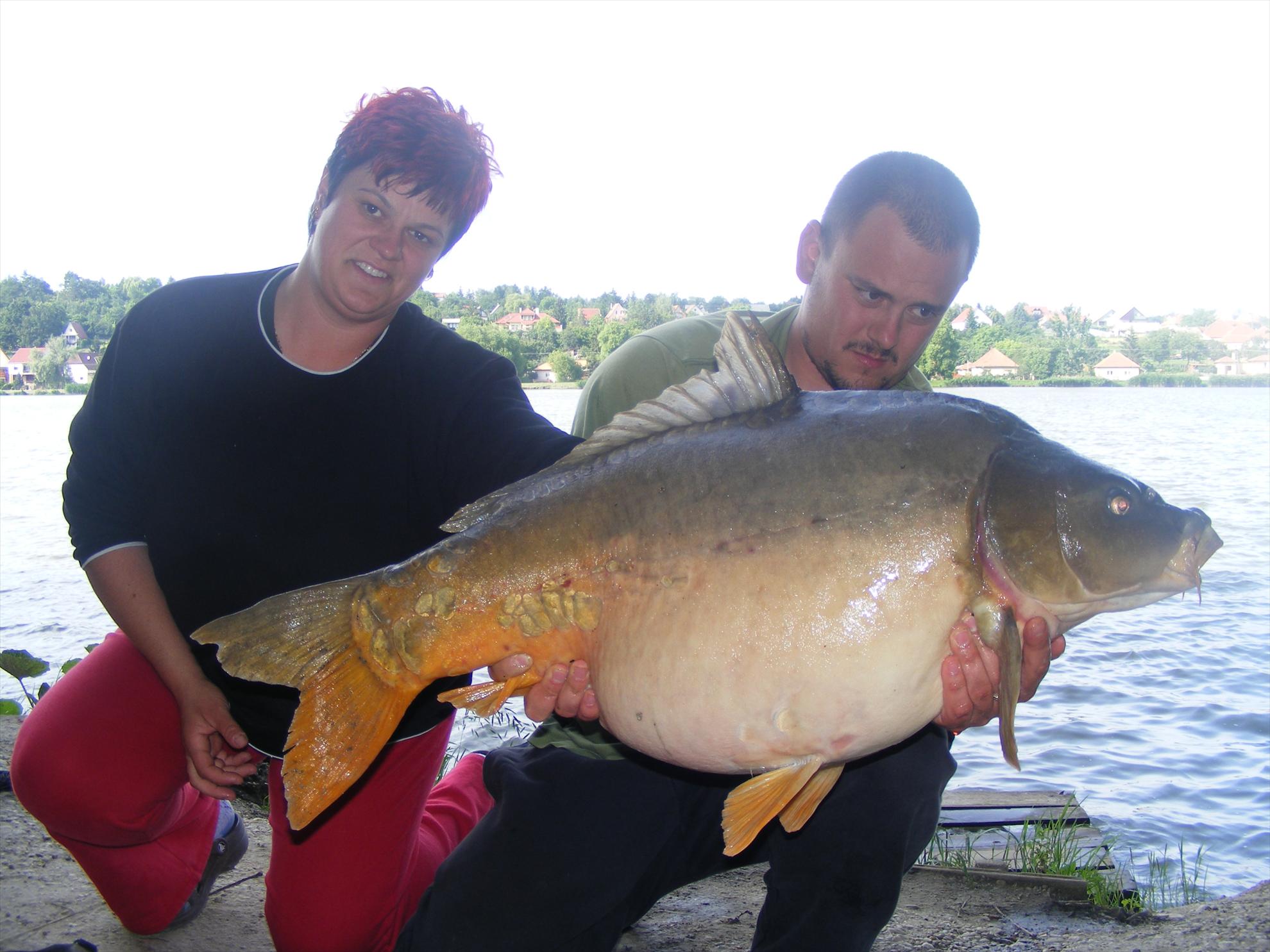 Harsanyi 2013 - dscf6283.JPG